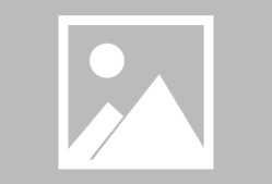 爱游戏体育今晨奥兰多魔术调整名单以备NBA常规赛；篮板制胜环节打磨；震撼外界；高层口径保持一致的简单介绍